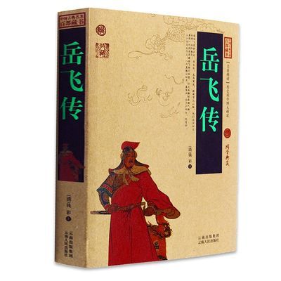 岳飛傳正版書原著原版 精忠報國書 立足史實 展現真實的岳飛 大宋