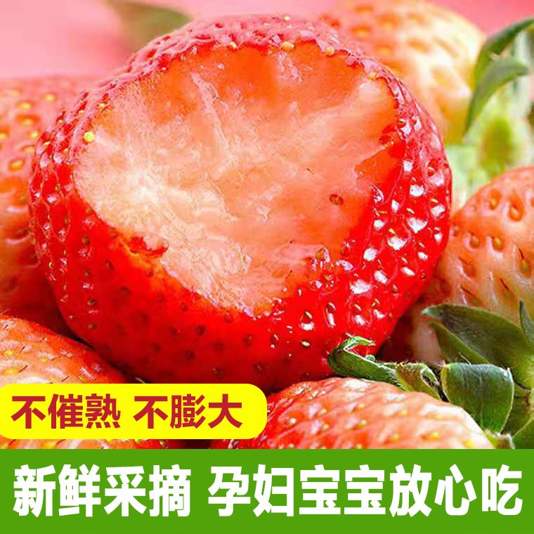 8919de01-b30a-4c14-87bb-3bfad0d103e2.jpg