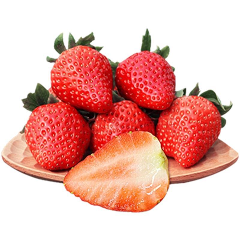 b0a7d740-1df2-41de-a802-3c8f3b17285b.jpg