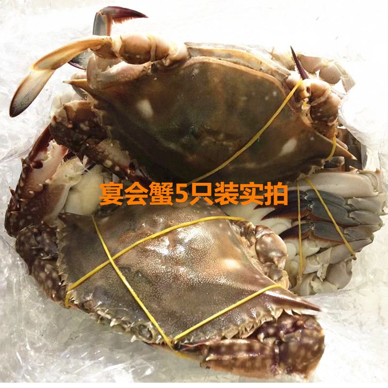 梭子蟹几月份有红膏蟹 9a178de5-ee75-4e9e-9e34-640779769e86.jpg