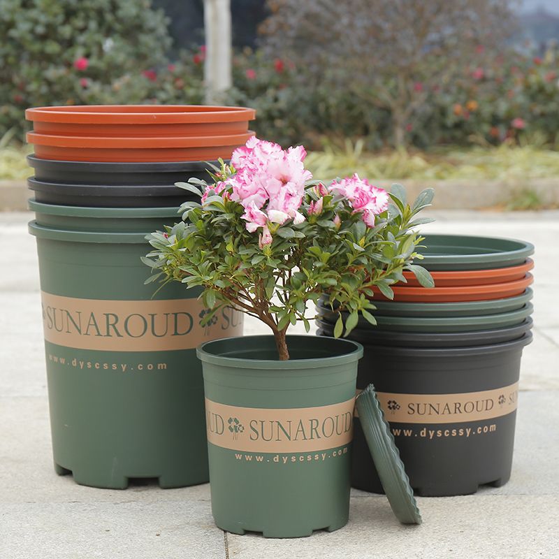 绿加仑最小的花盆多大 ee0da399-244f-4d2a-a5f5-a917e3cf57ef.jpg