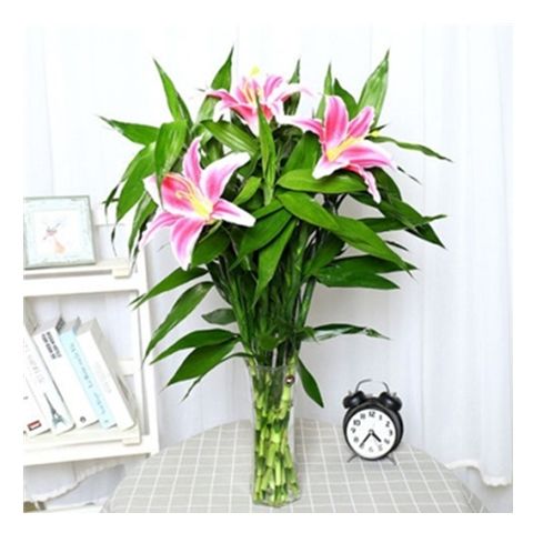 8559d1de-7d86-443c-8697-bf408c61ab49.jpg