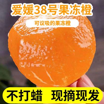 现摘爱媛38号果冻橙 橙子水果新鲜应季水果2/5/8斤非冰糖赣南脐橙