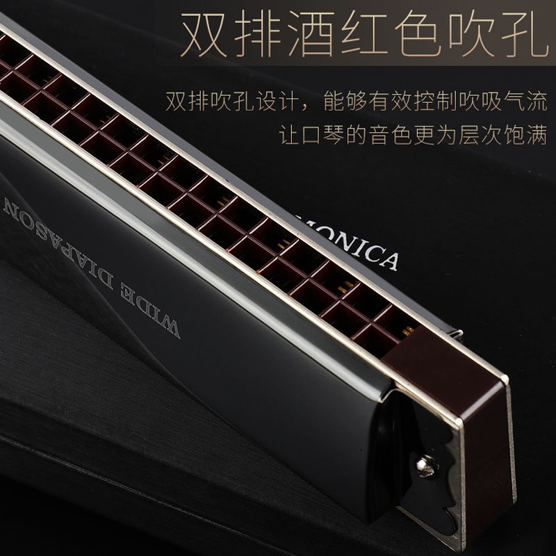 成人口琴(3)