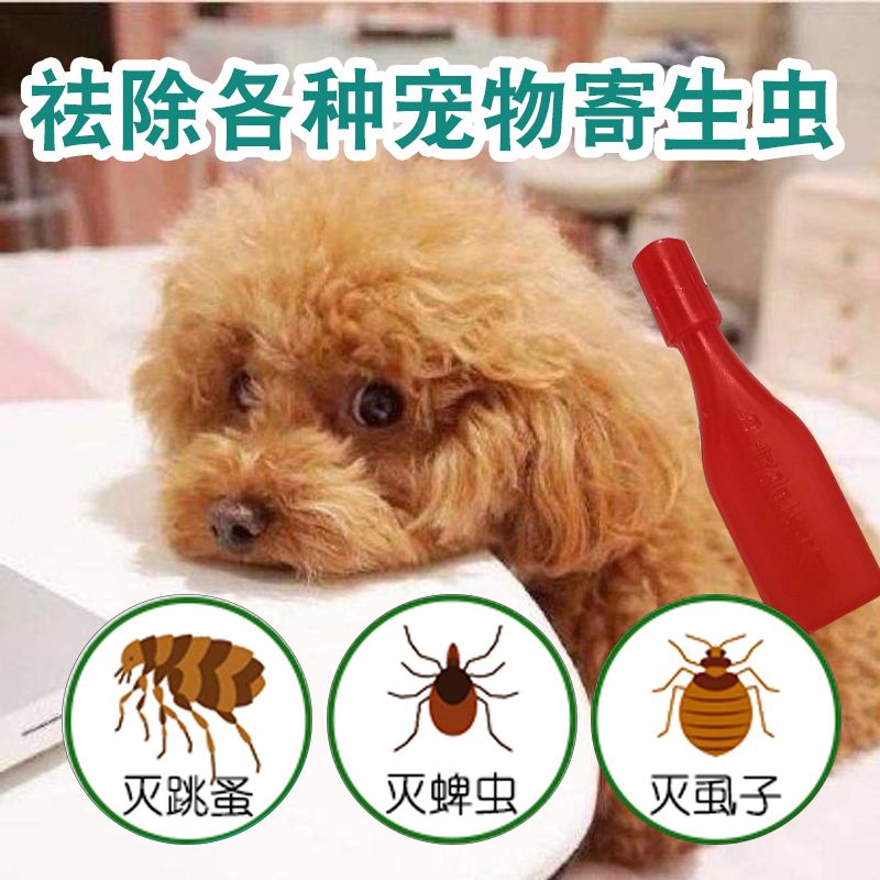 edf85a99-0630-46ac-b6e4-957c65e098fb.jpg