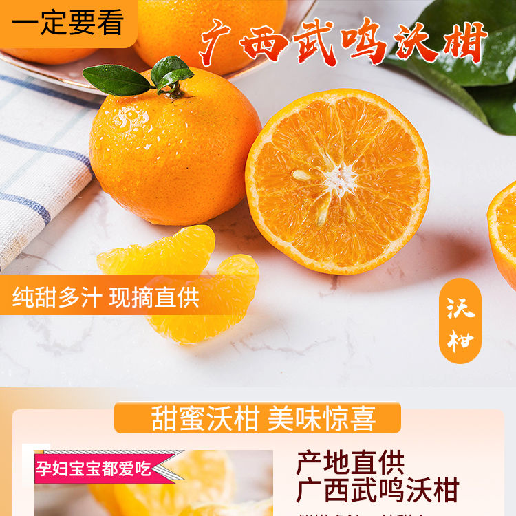 【东三省专供】纯甜广西武鸣沃柑桔3斤单果规格55mm柑橘新鲜水果