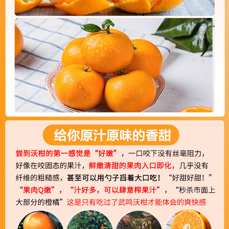 【东三省专供】纯甜广西武鸣沃柑桔3斤单果规格55mm柑橘新鲜水果