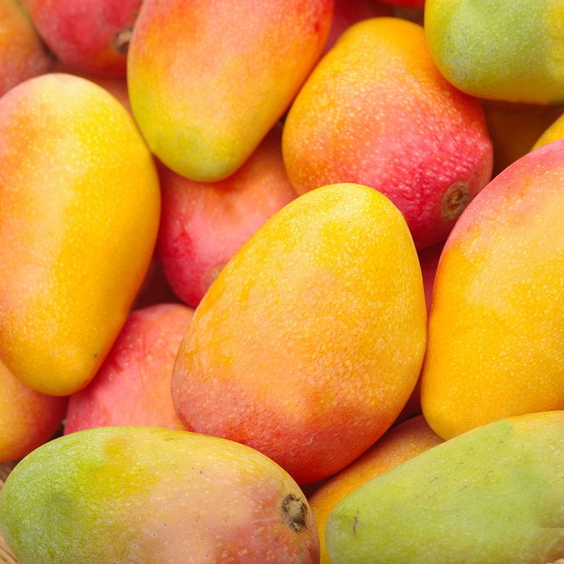 海南贵妃芒应季新鲜水果红金龙芒果果园现摘热带忙果整箱批发包邮