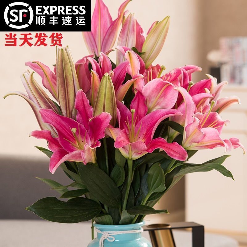 f1794ef0-825b-4f31-9755-544c4d9684ca.jpg