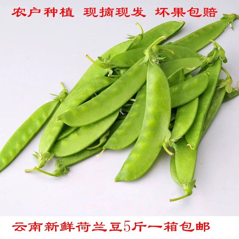 cca5fbd2-58eb-4587-b03b-54a3a191e378.jpeg