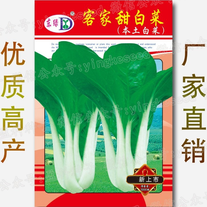 客家甜白菜种子 本土小白菜本地土白菜四季青菜籽盆栽