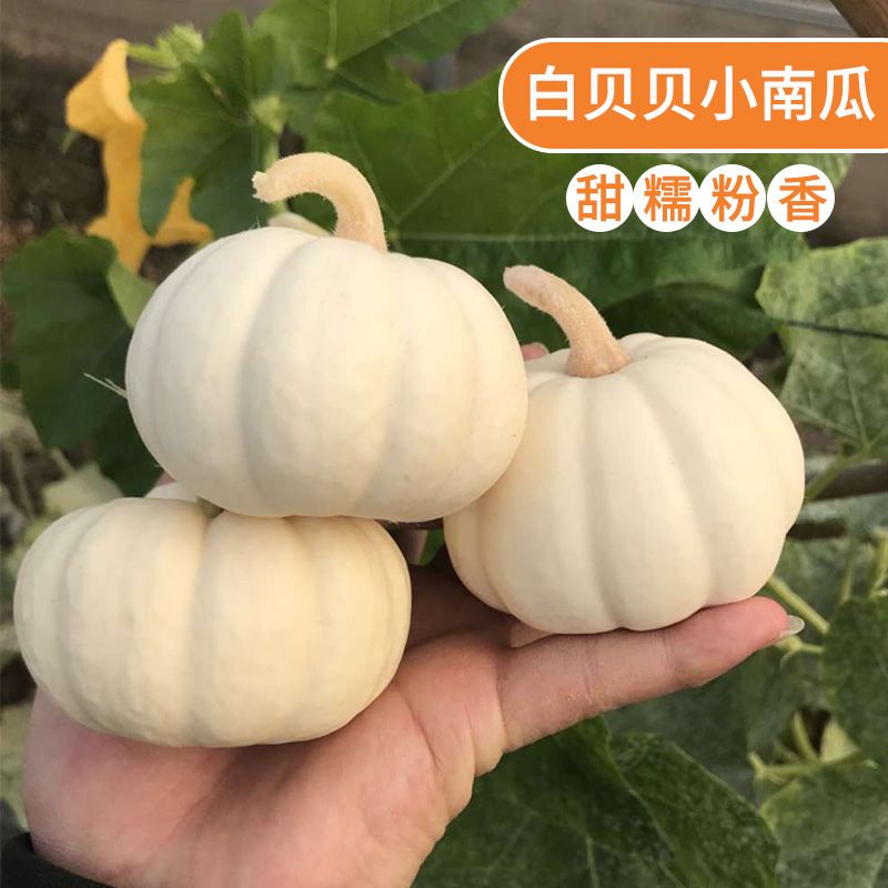 17a5442f-79fb-44d4-be7b-0d4fb21cabf2.jpg