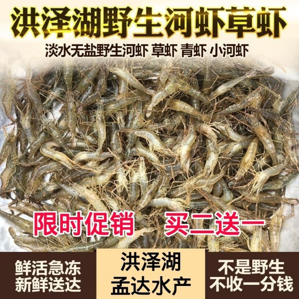 野生小河虾新鲜活体小草虾醉虾现捕红虾湖虾鲜活生鲜冷冻全场包邮