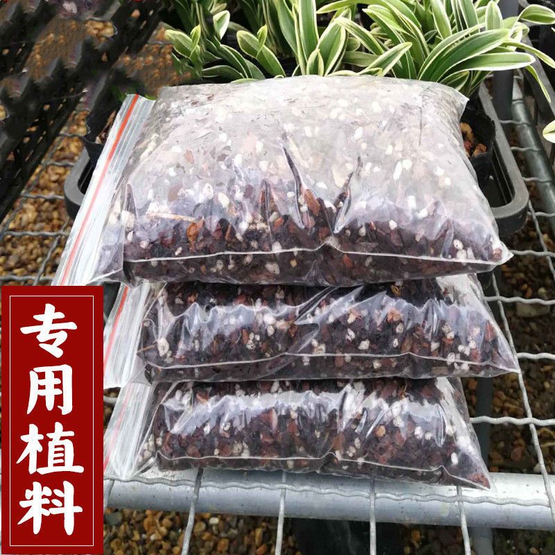 bc56f895-d485-499c-a5e7-75ecfe671e91.jpg