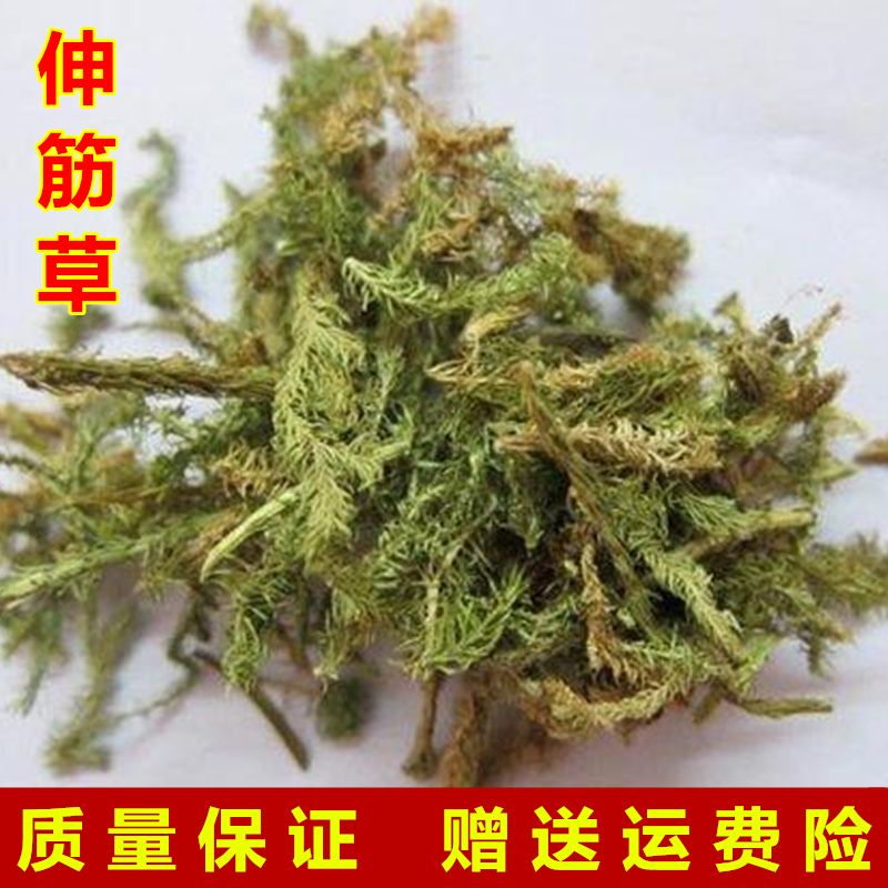 中药材新货野生伸筋草舒筋草通筋草另有透骨草远志益智仁