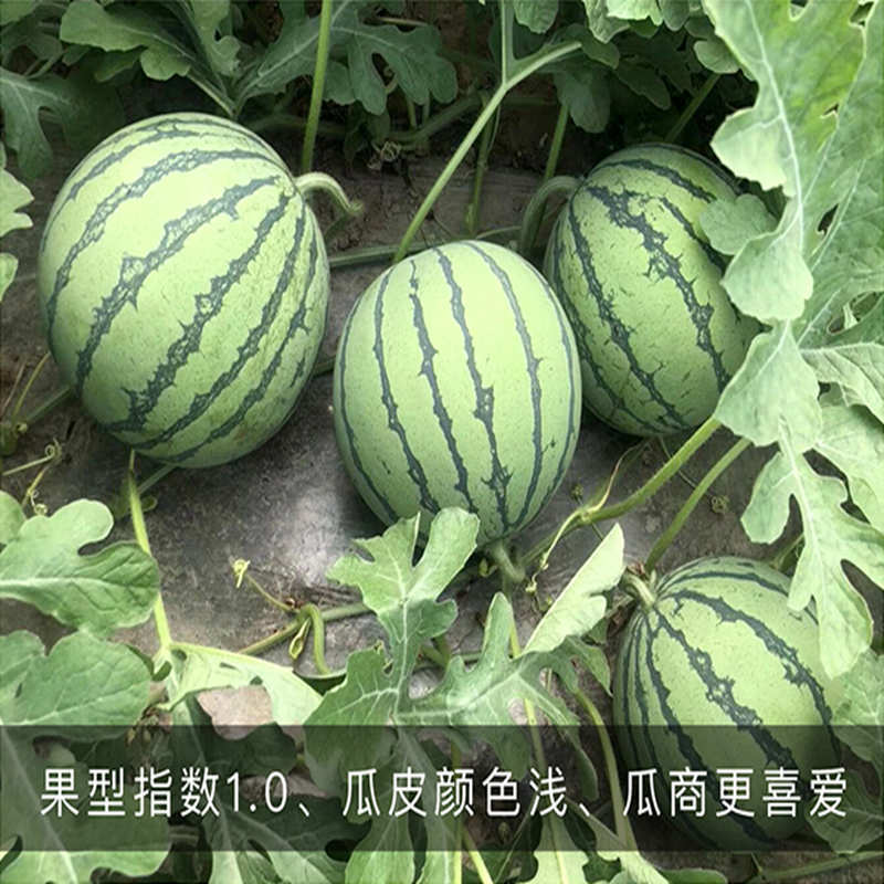 a08c4e07-1329-41d9-9371-1c1e442a2e0b.jpg