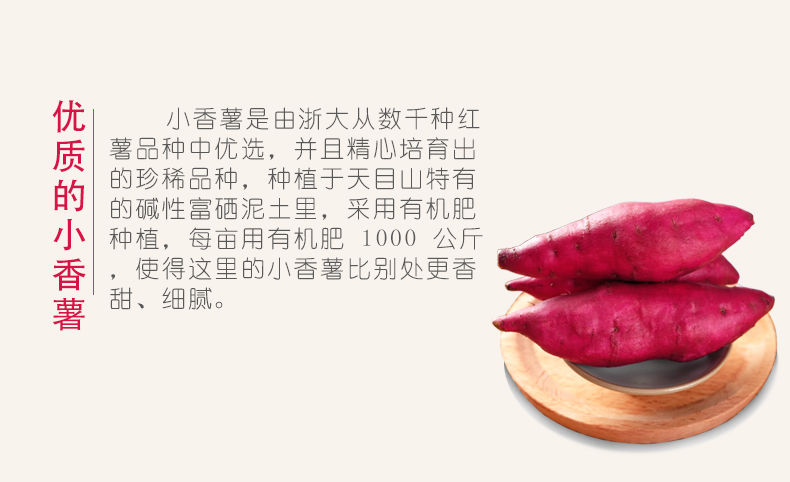 临安天目山小香薯板栗番薯红薯5斤粉糯香甜3斤/2斤/1斤地瓜山芋