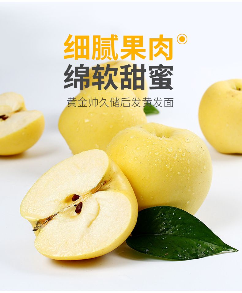 山东烟台黄元帅苹果黄金帅粉面苹果整箱新鲜水果3/5斤应季水果