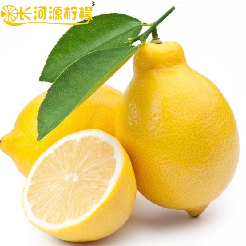 af6dda66-346b-4250-998d-5896850b9b8b.jpg