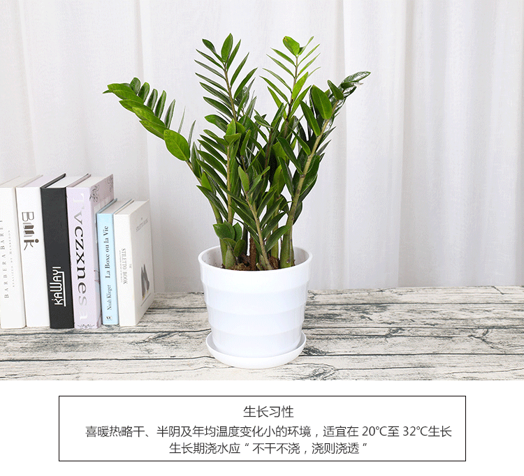 c3800216-96ac-4a33-b220-05350aa3f208.png