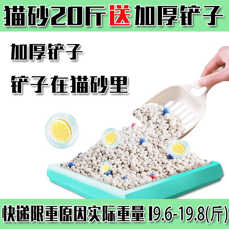 1cd49830-d729-4370-96c9-b2c95991450b.jpg