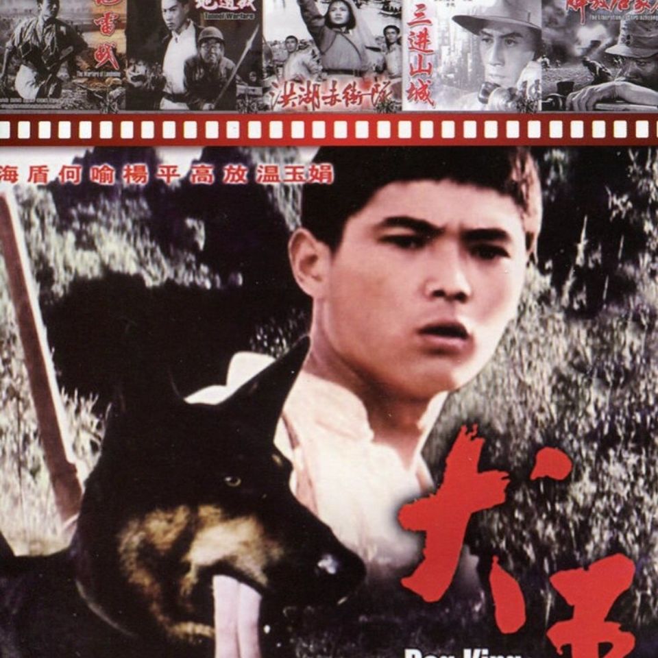 中国抗日老电影合集【犬王】完整版2片dvd光盘