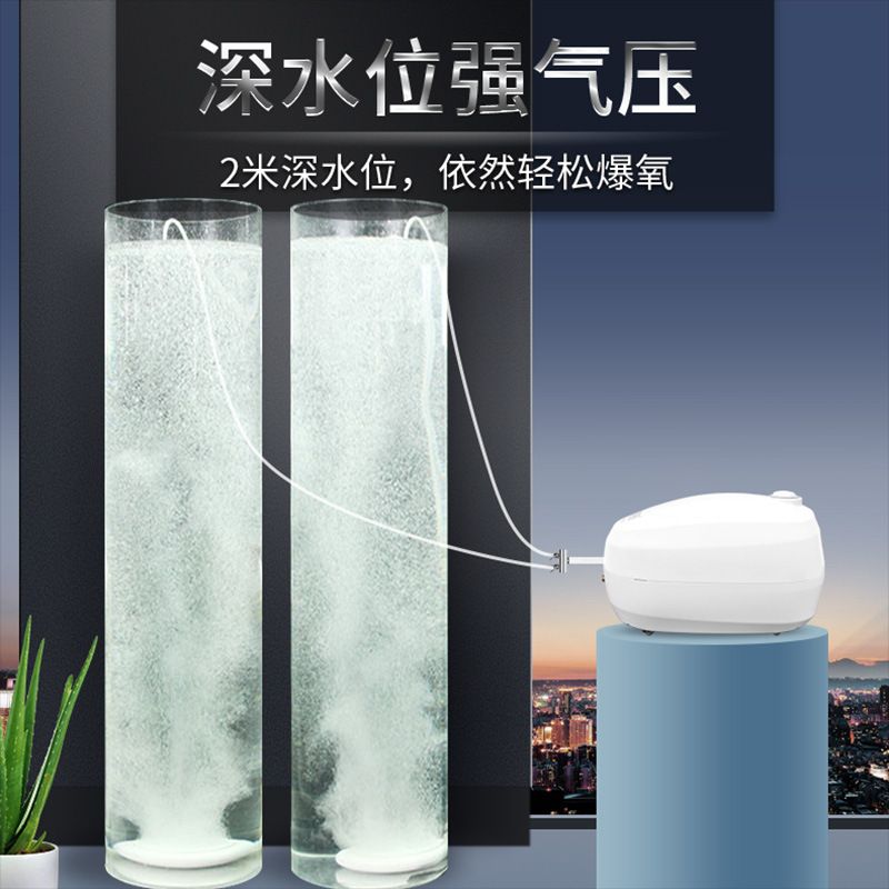 怎么养鱼不用加氧 699b89bf-9811-44ba-9981-8aa3e19ca0a4.jpg