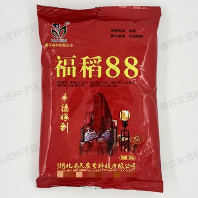 隆平高科福稻88水稻种子 杂交谷粒长形 穗层较整齐 中穗型 500g