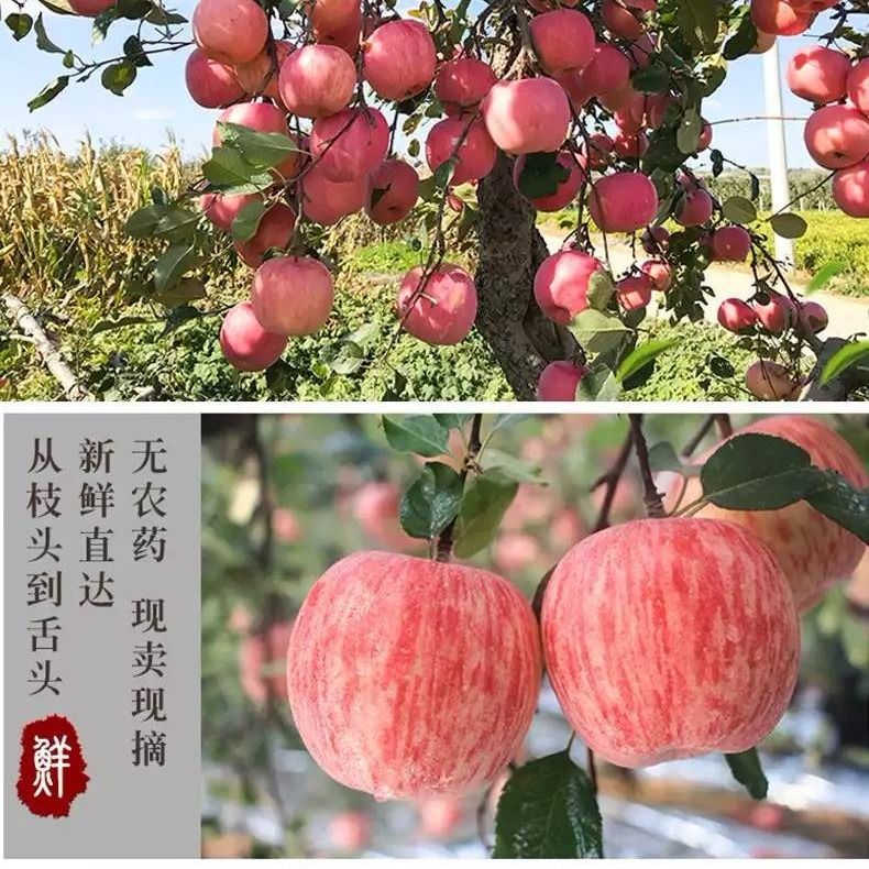 b8ae220a-300d-4e37-8879-bf012674e84d.jpg