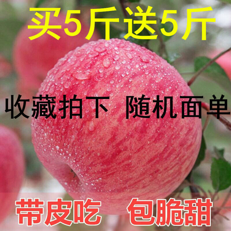 13276-陕西冰糖心红富士苹果新鲜水果3/5/10斤(果经70mm--100mm)不打蜡-详情图