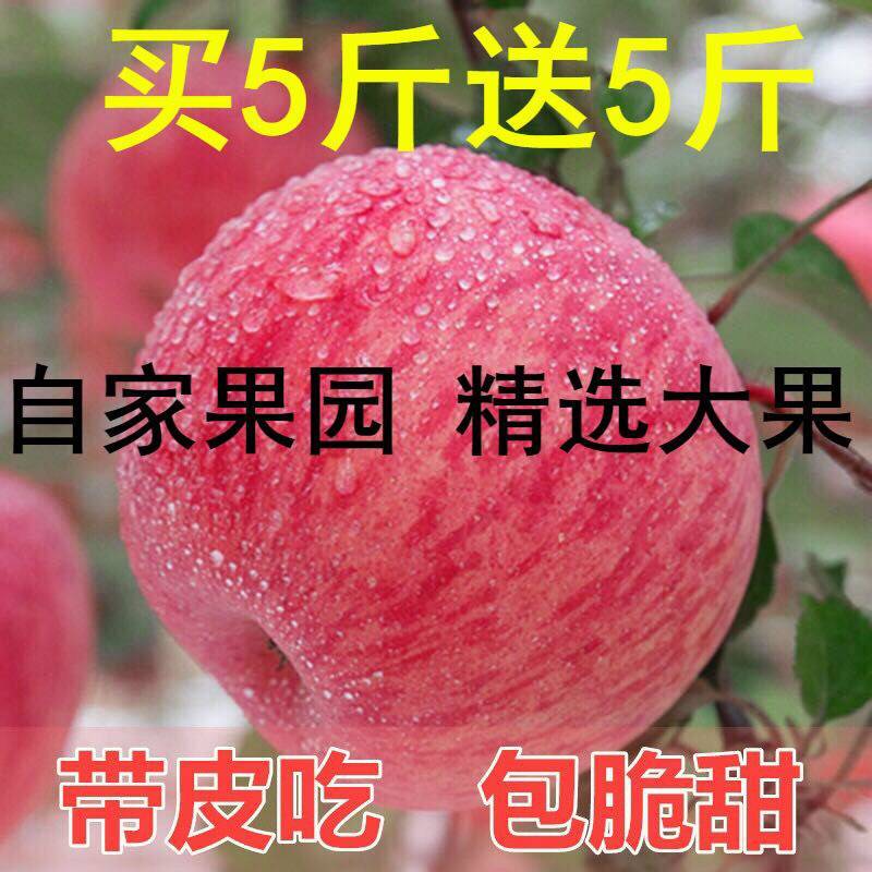 13276-陕西冰糖心红富士苹果新鲜水果3/5/10斤(果经70mm--100mm)不打蜡-详情图