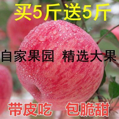 13276/陕西冰糖心红富士苹果新鲜水果3/5/10斤(果经70mm--100mm)不打蜡