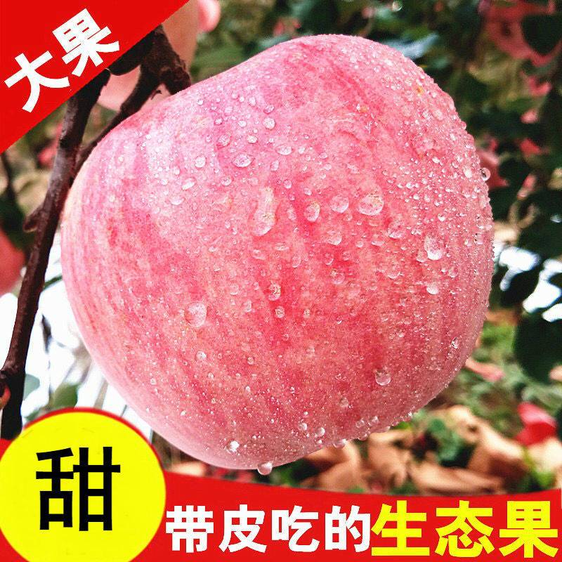 13276-陕西冰糖心红富士苹果新鲜水果3/5/10斤(果经70mm--100mm)不打蜡-详情图