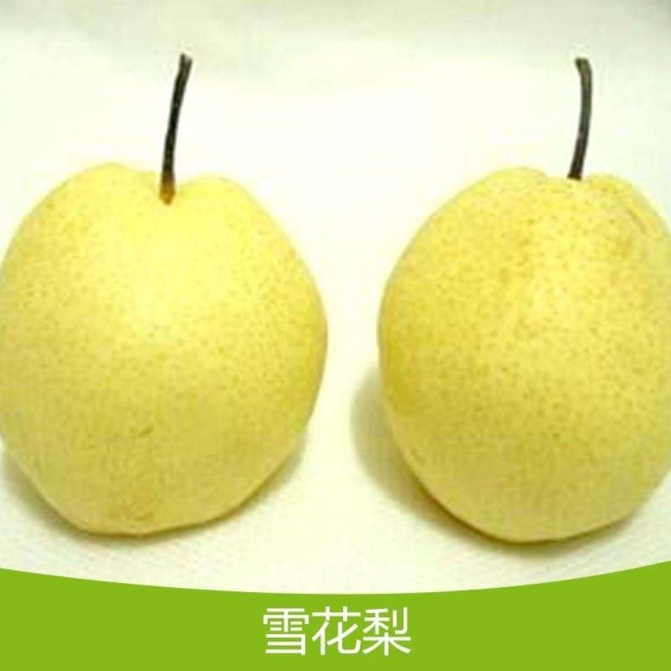 5e7ad265-fada-4b4a-a690-16ae166bbcc8.jpg