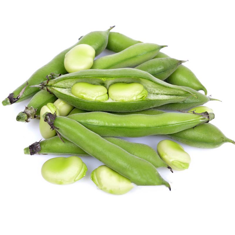 云南新鲜毛豆青蚕豆带壳蔬菜类罗汉豆兰花胡豆佛南豆竖豌豆蔬菜