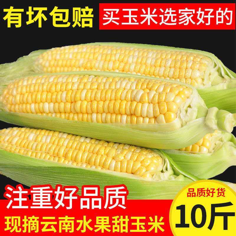 6a3cb549-151f-4221-91c4-322d9bc1c61a.jpg