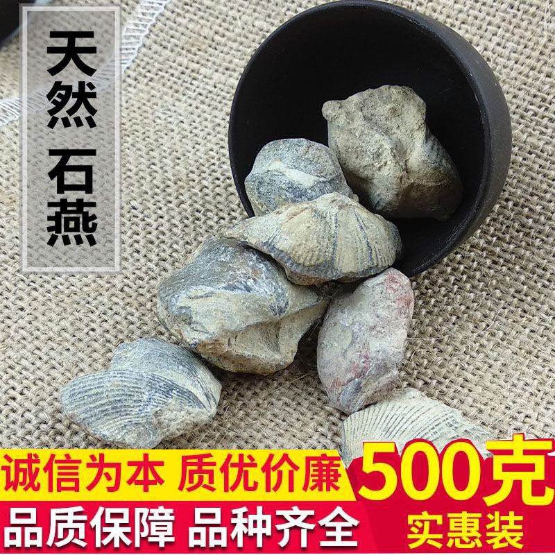 石燕 石燕子 大石燕 燕子石 水飞燕子 优质 无杂质 500克【2月16日发