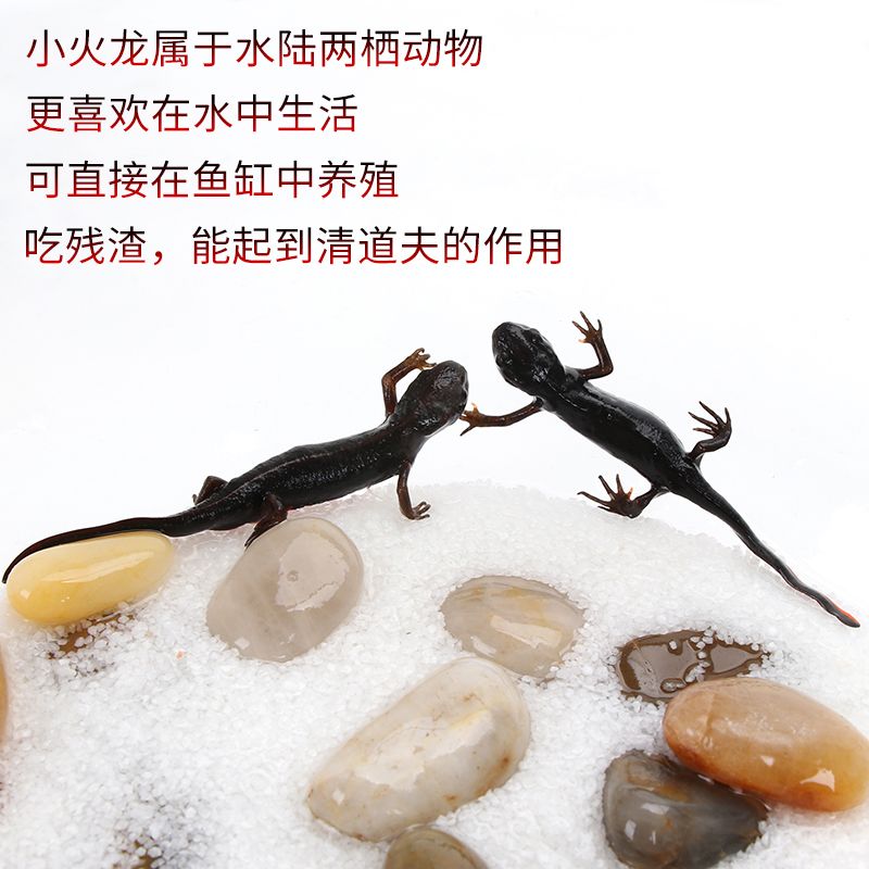 61808d7d-a594-4a5d-b1b3-a94608f5678d.jpg