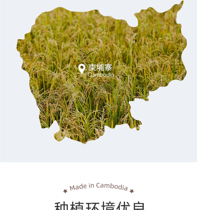 柬埔寨茉莉香米5kg真空非东北大米10斤进口长粒香炒饭籼米新米