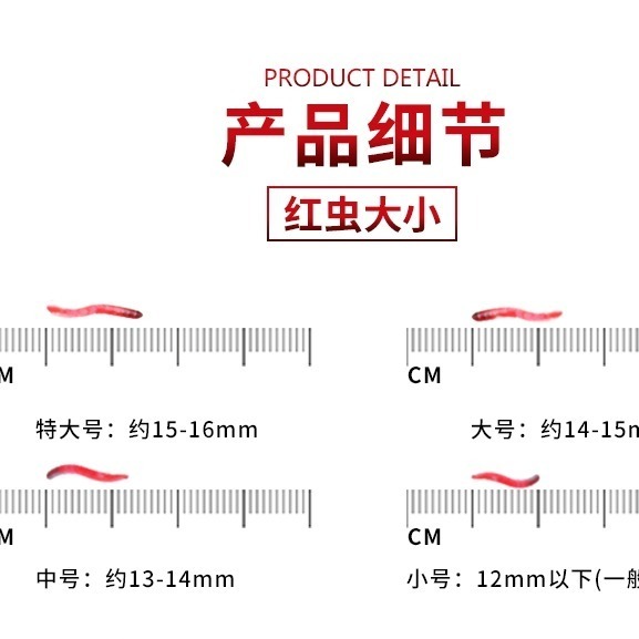 红虫简谱_小红虫图片