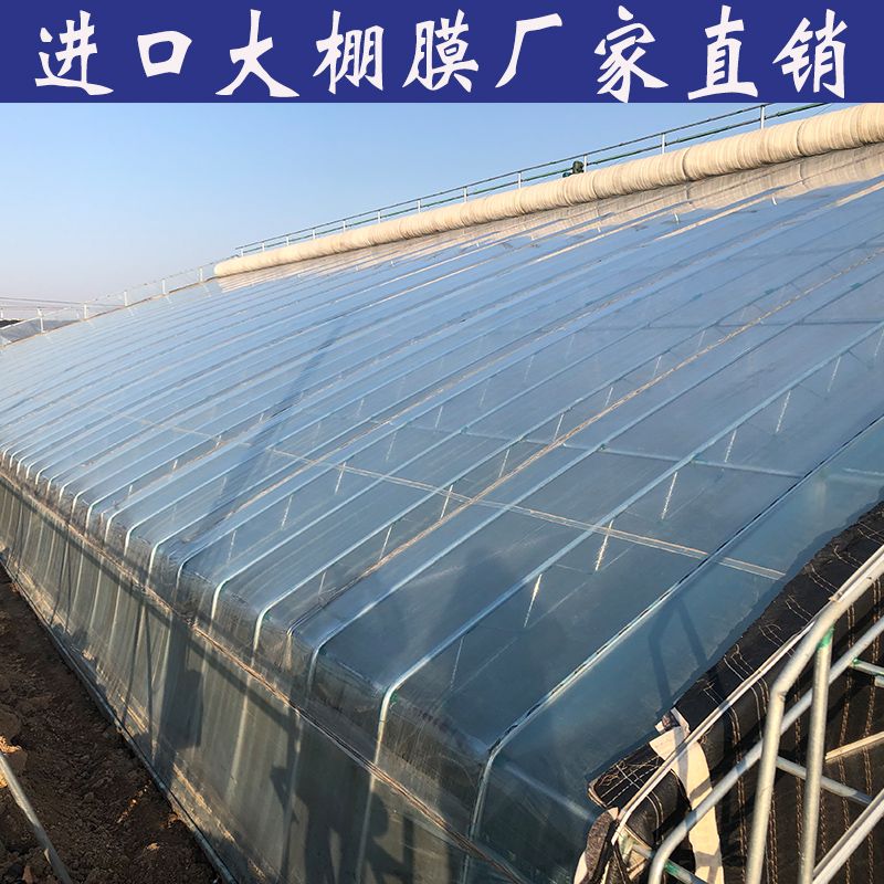 双层保温棚户外 a170b56b-c99f-4b7d-b20d-329885ea6b0a.jpg