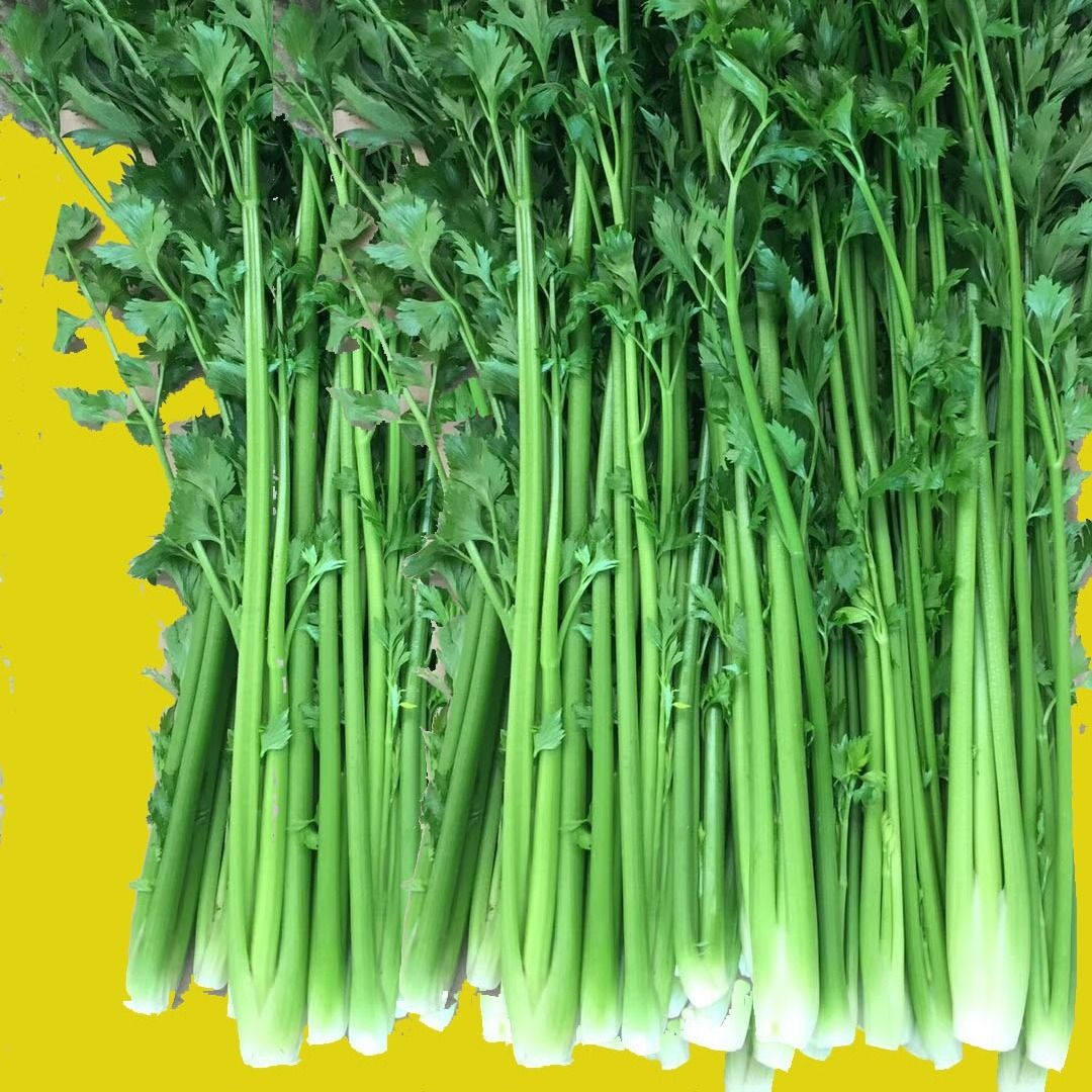 88356-山东正宗章丘鲍芹农家自产2/3/4斤精芹新鲜蔬菜水果产地直销包邮-详情图