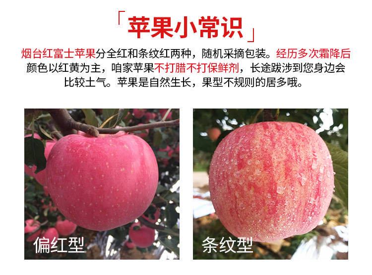 苹果水果新鲜红富士脆山东烟台应季红富士苹果10斤3斤5斤整箱批发
