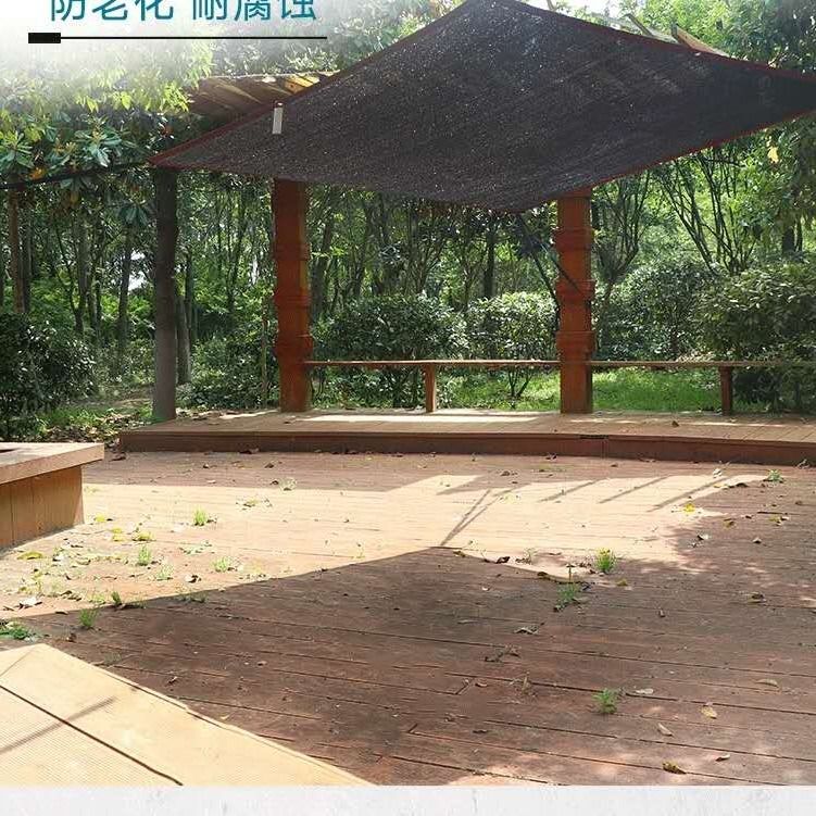 阳台种什么植物遮阳最好 65fc0357-a223-438f-a5cc-eee985fec0bc.jpg