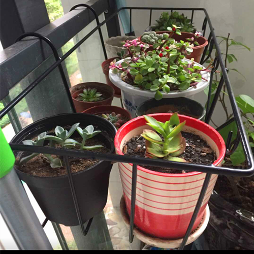 盆栽花怎么钩 7b6dd617-931c-4c4b-b412-5eabcc06c626.png