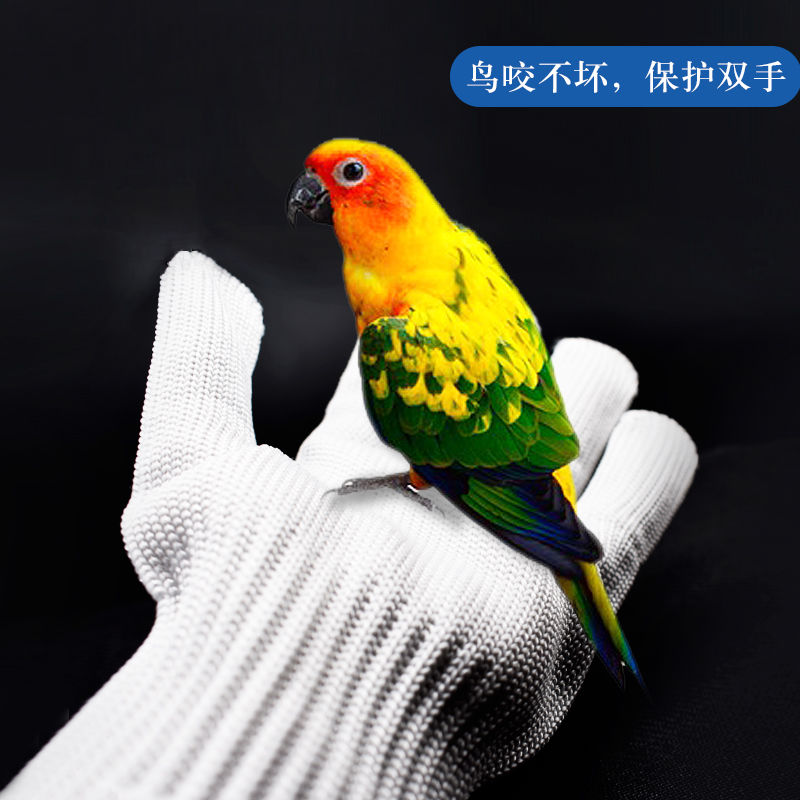 Parrot anti biting gloves pet bird catching and flying gloves parrot training bird wire gloves bird accessories