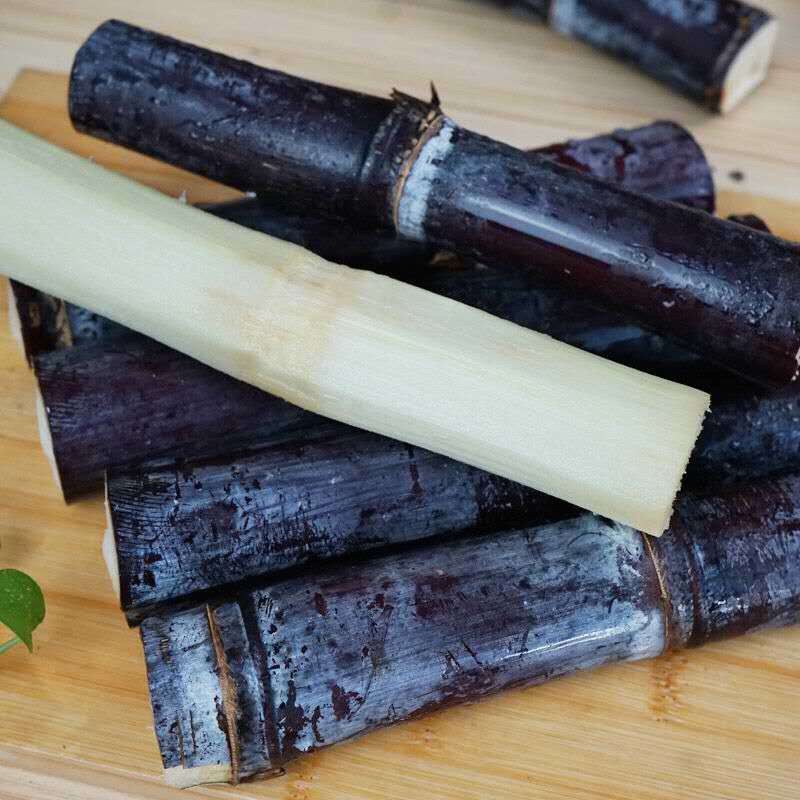 23fac5ca-592d-4f3c-b1a6-801ec597dd06.jpeg