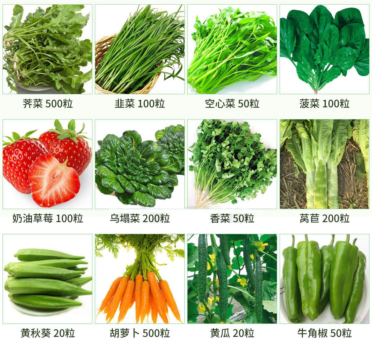 四季播种蔬菜种子豇豆青菜生菜西红柿小葱黄瓜种子阳台盆栽菜种子