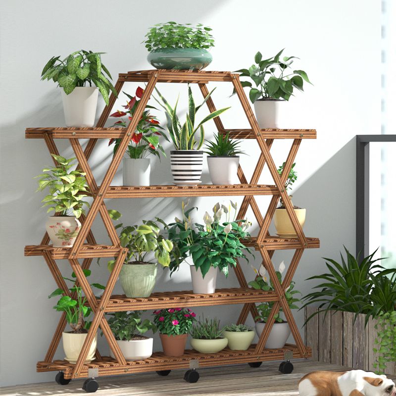 盆栽花架室内 90d6ce08-1245-4c09-8734-eb3b742049a5.jpg