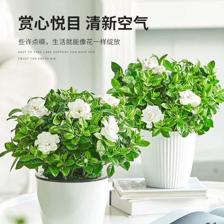 fdd74315-fa76-45d0-a2db-9c903d5a150e.jpg